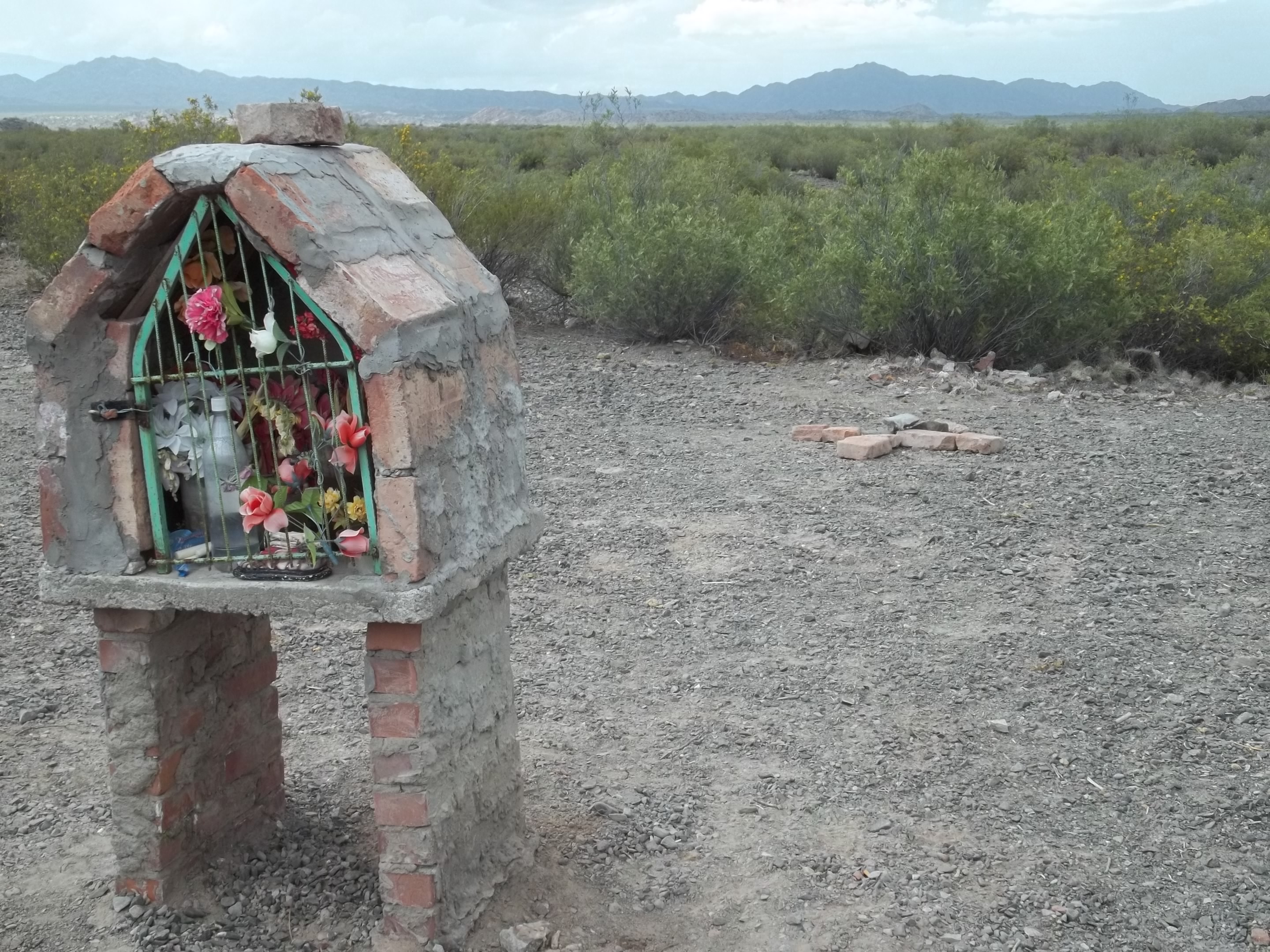 Foto de CERRO MERCEDARIO - 2011
