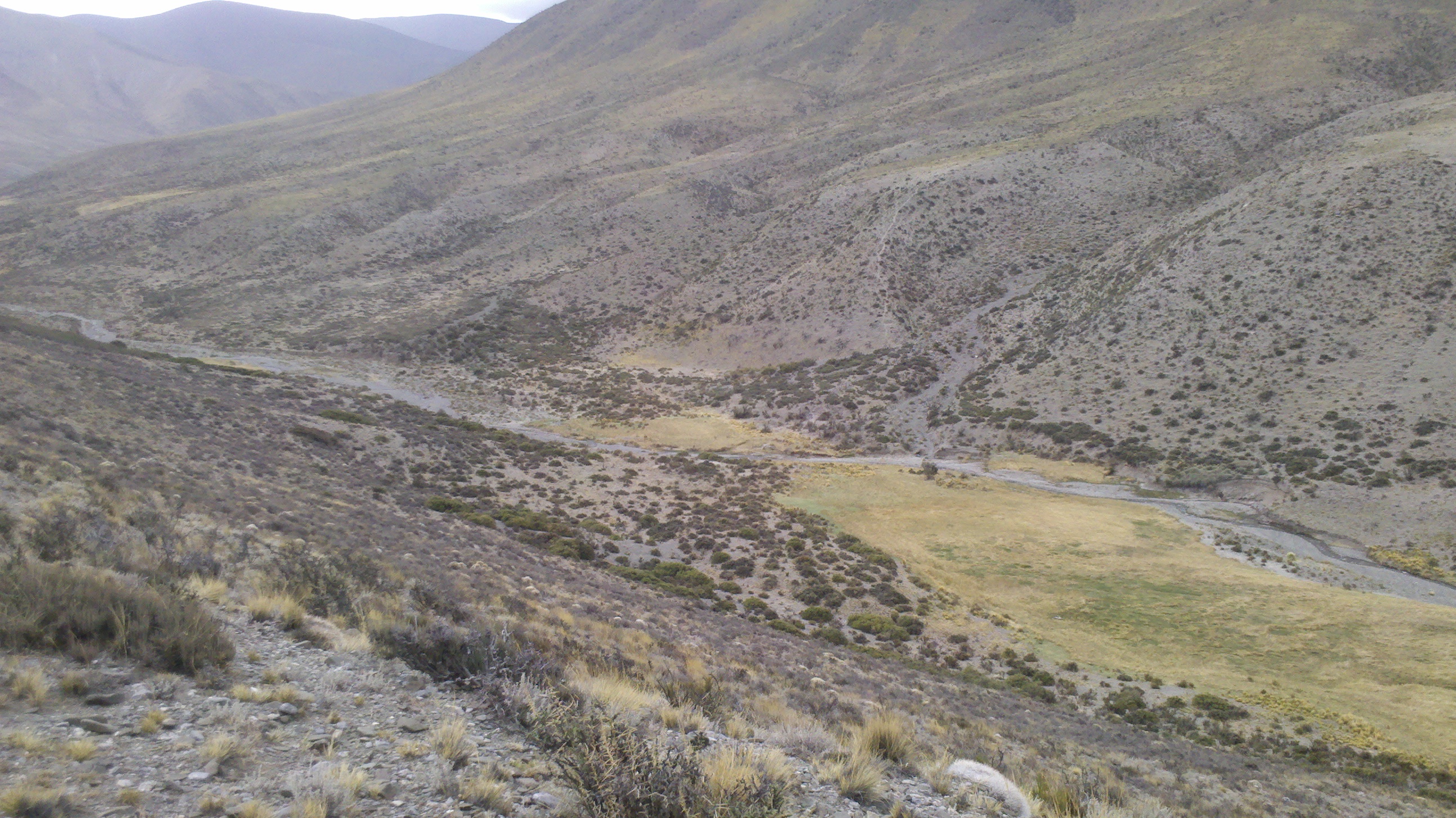 Foto de CERRO MERCEDARIO - 2011