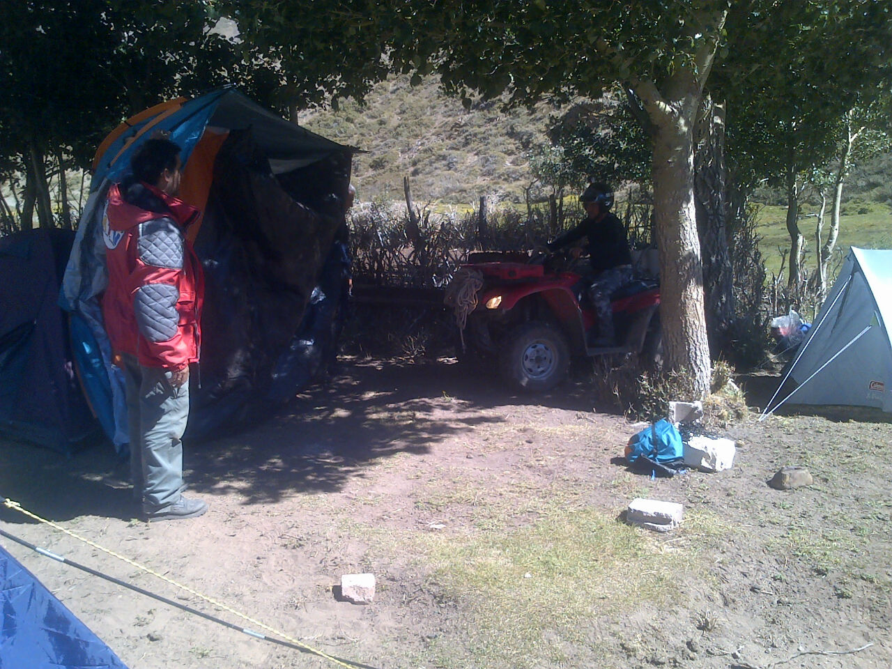 Foto de LOS MOLLES 2015