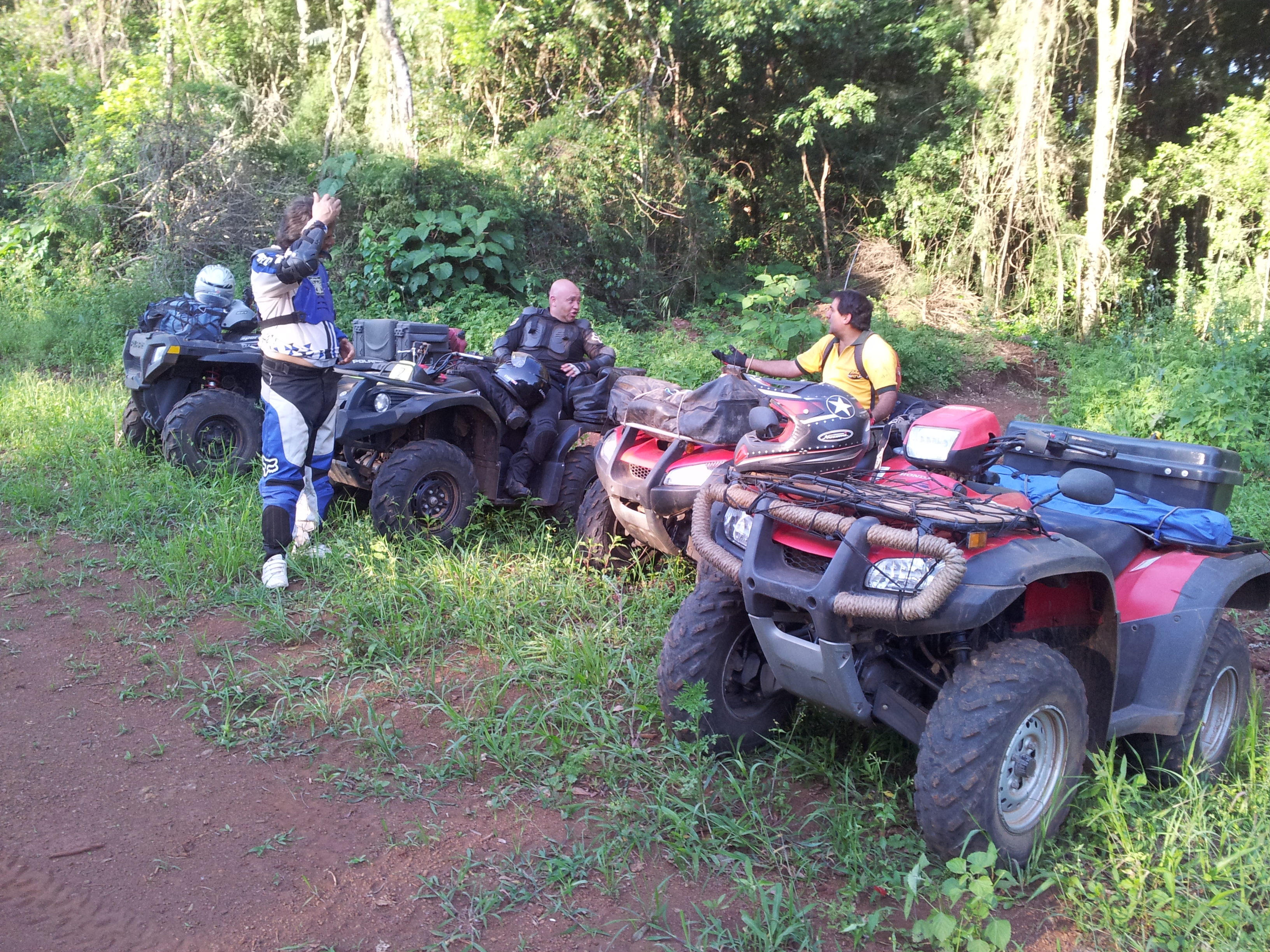 Foto de MISIONES - LA RUTA DE LA SELVA - 2012