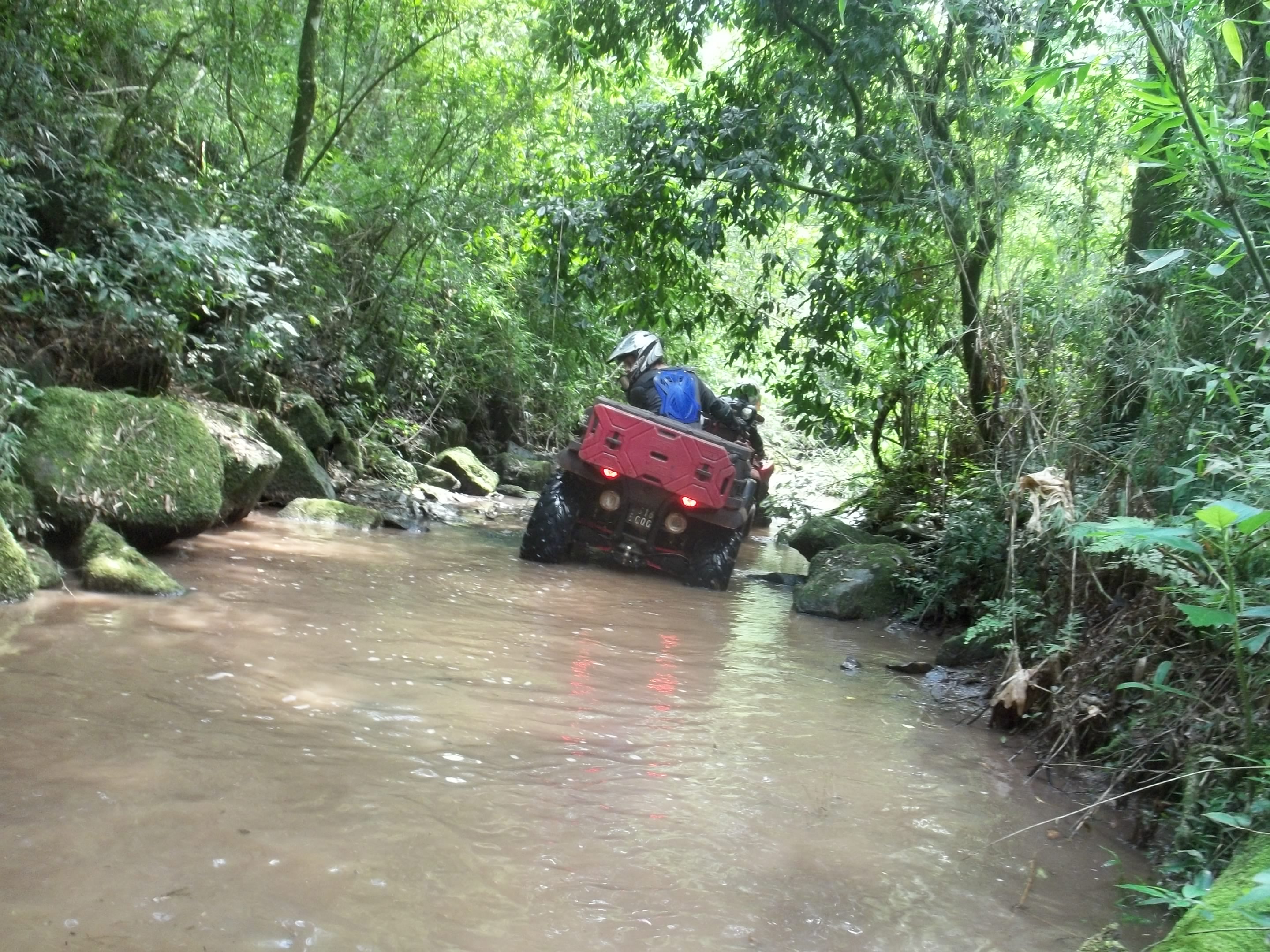 Foto de MISIONES - LA RUTA DE LA SELVA - 2012