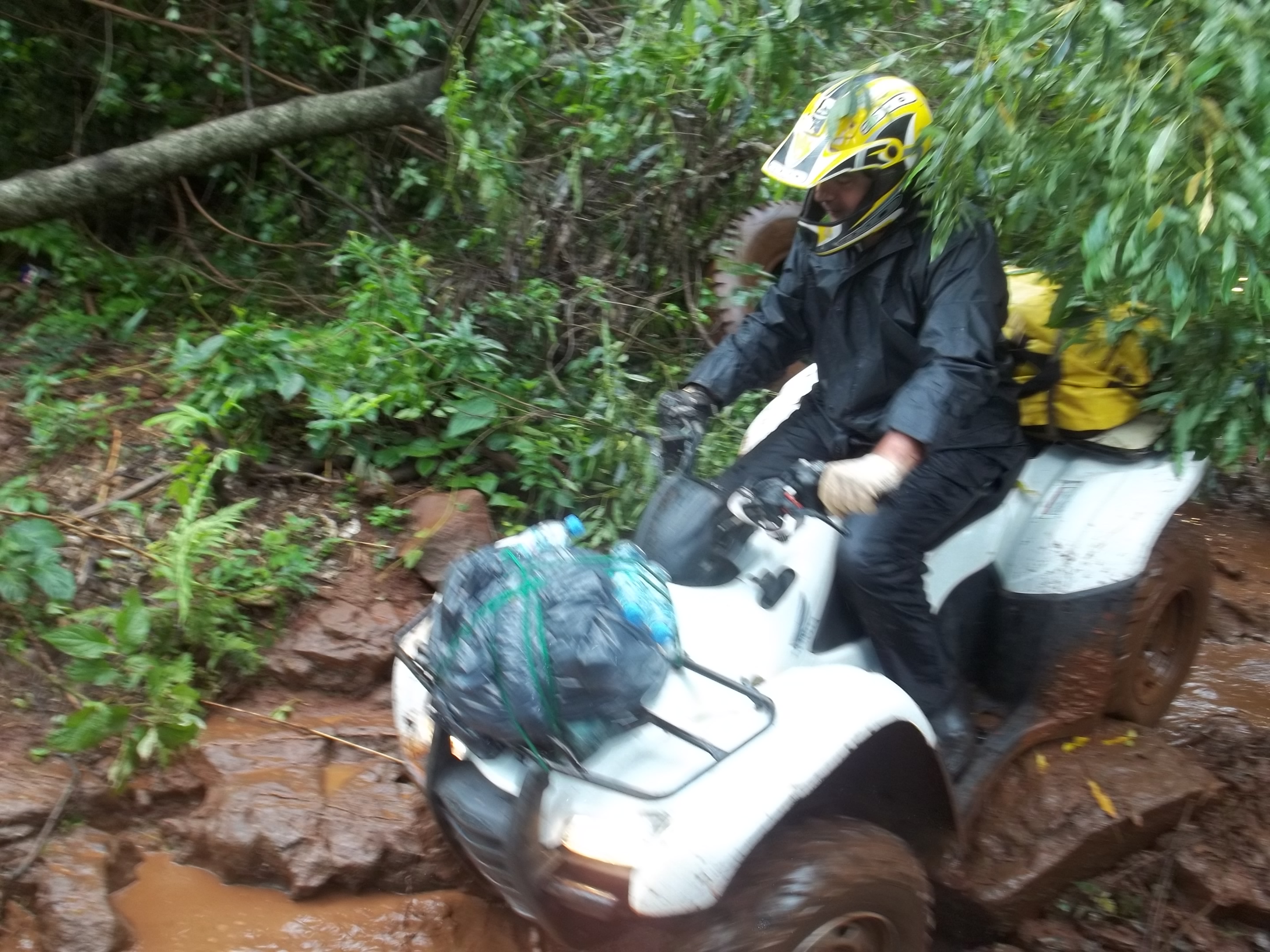 Foto de MISIONES - LA RUTA DE LA SELVA - 2012