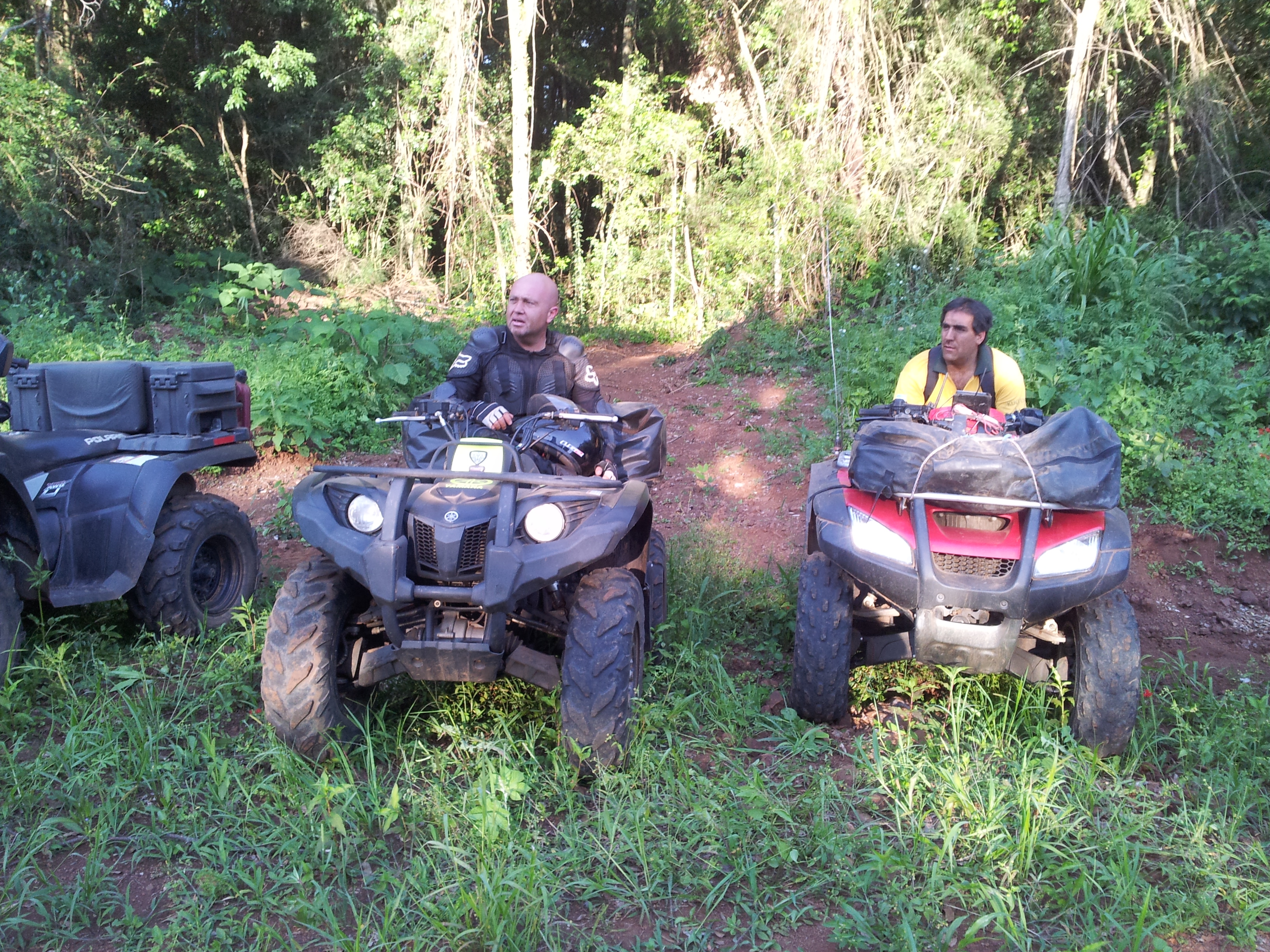 Foto de MISIONES - LA RUTA DE LA SELVA - 2012