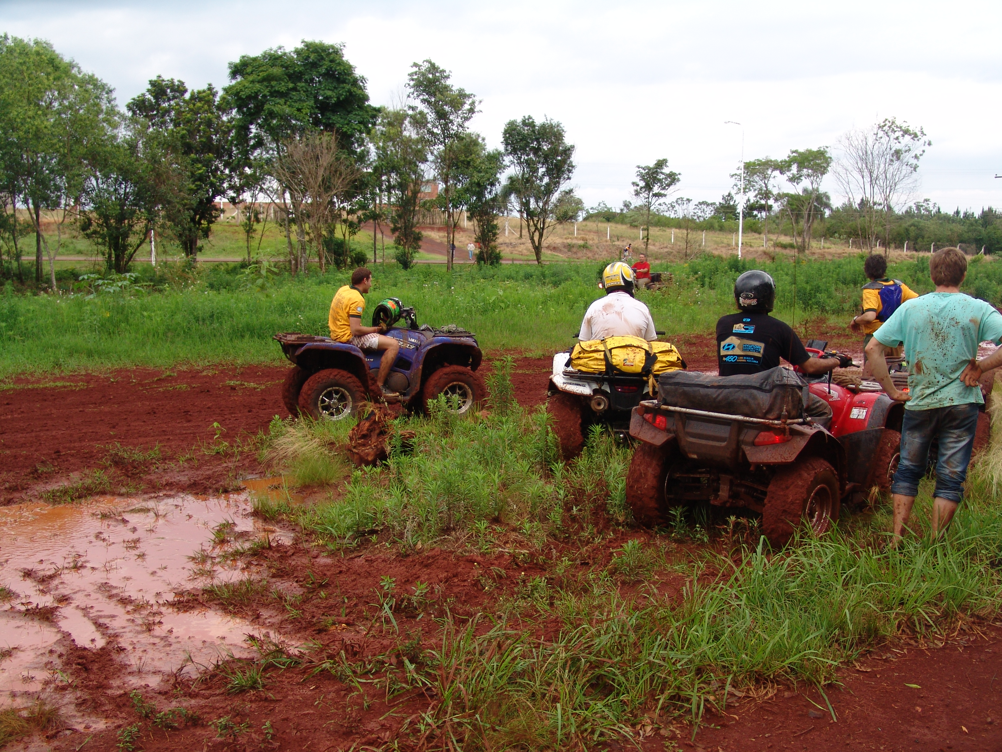 Foto de MISIONES - LA RUTA DE LA SELVA - 2012