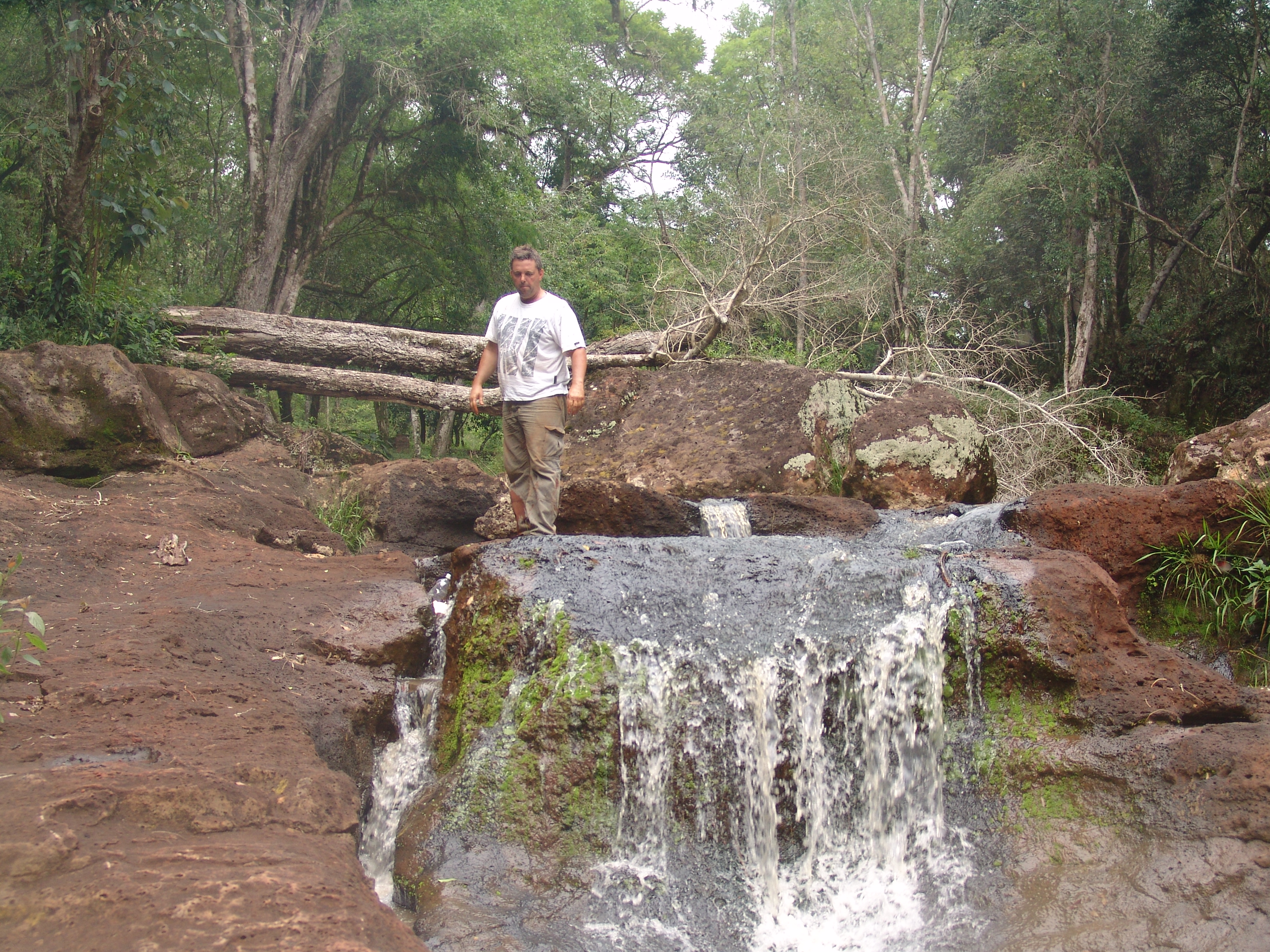 Foto de MISIONES - LA RUTA DE LA SELVA - 2012