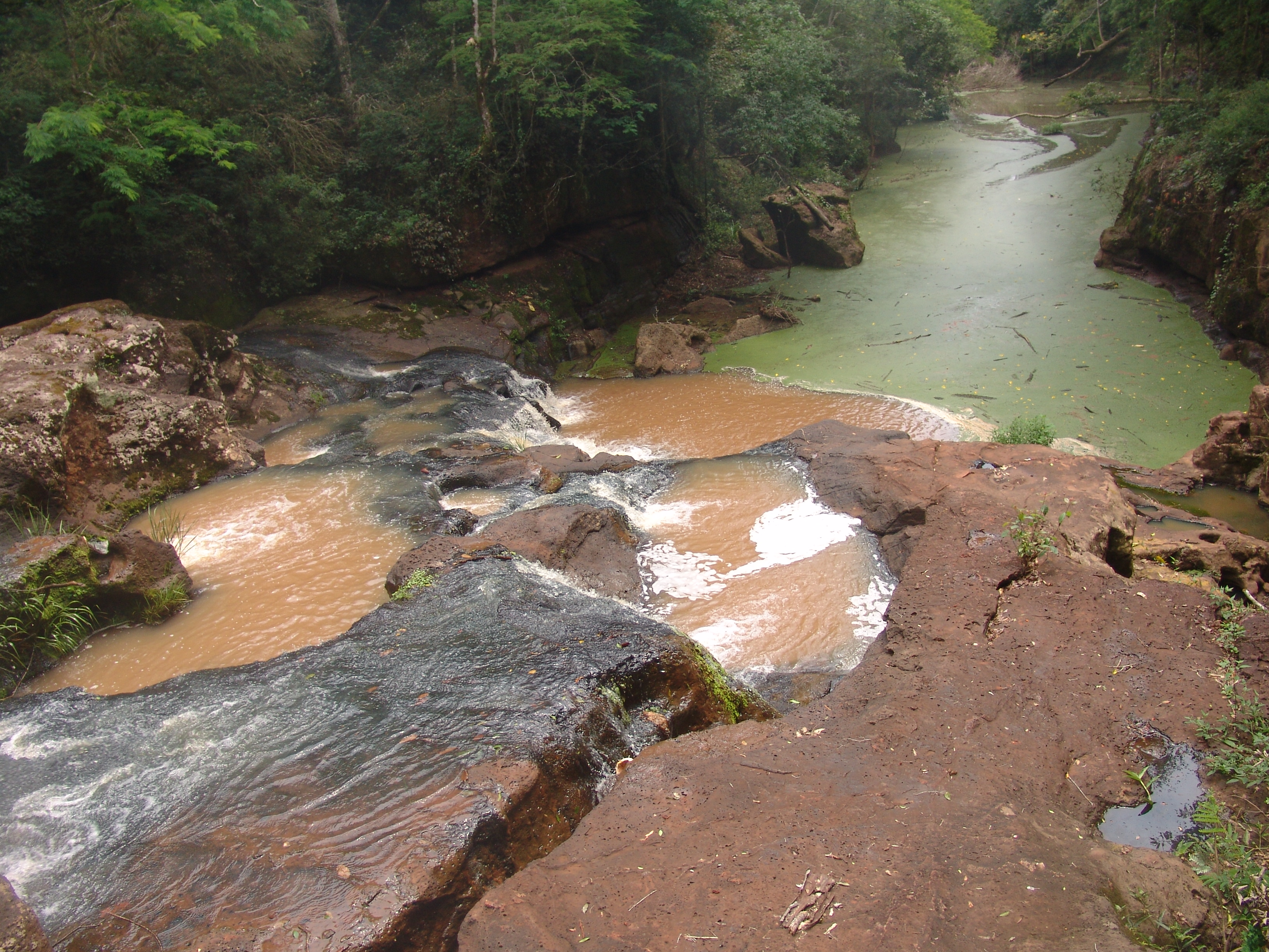Foto de MISIONES - LA RUTA DE LA SELVA - 2012