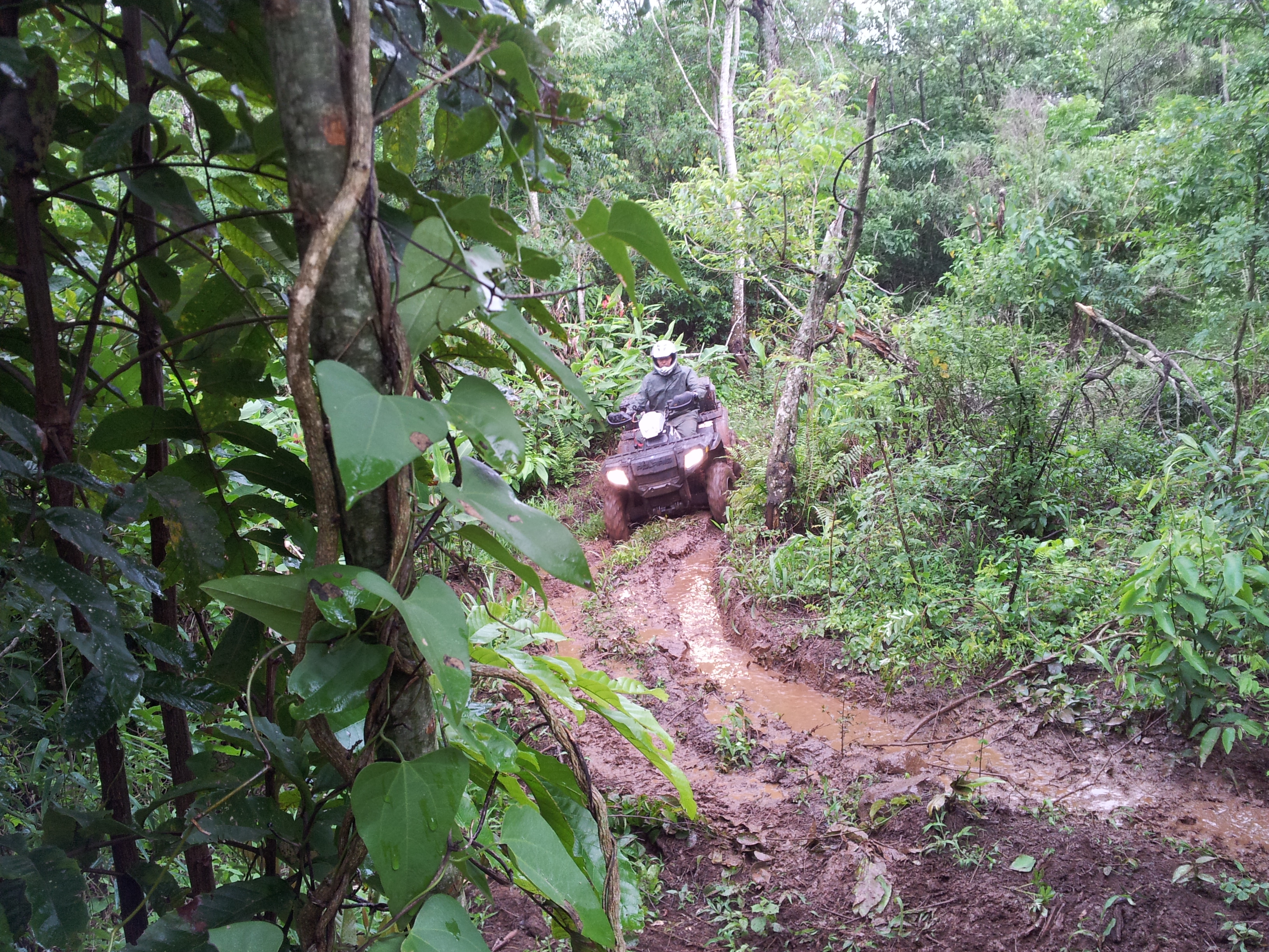 Foto de MISIONES - LA RUTA DE LA SELVA - 2012