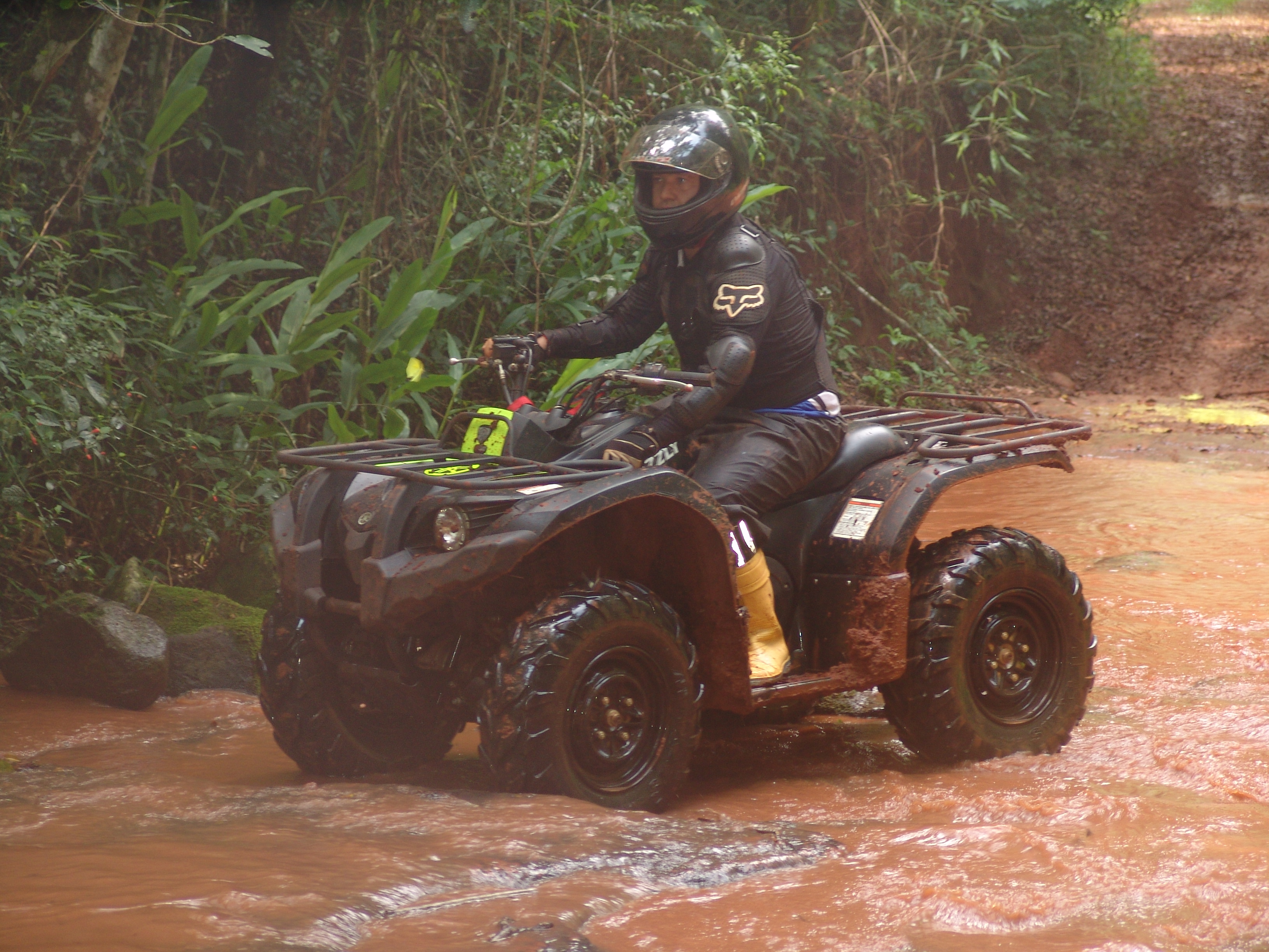 Foto de MISIONES - LA RUTA DE LA SELVA - 2012