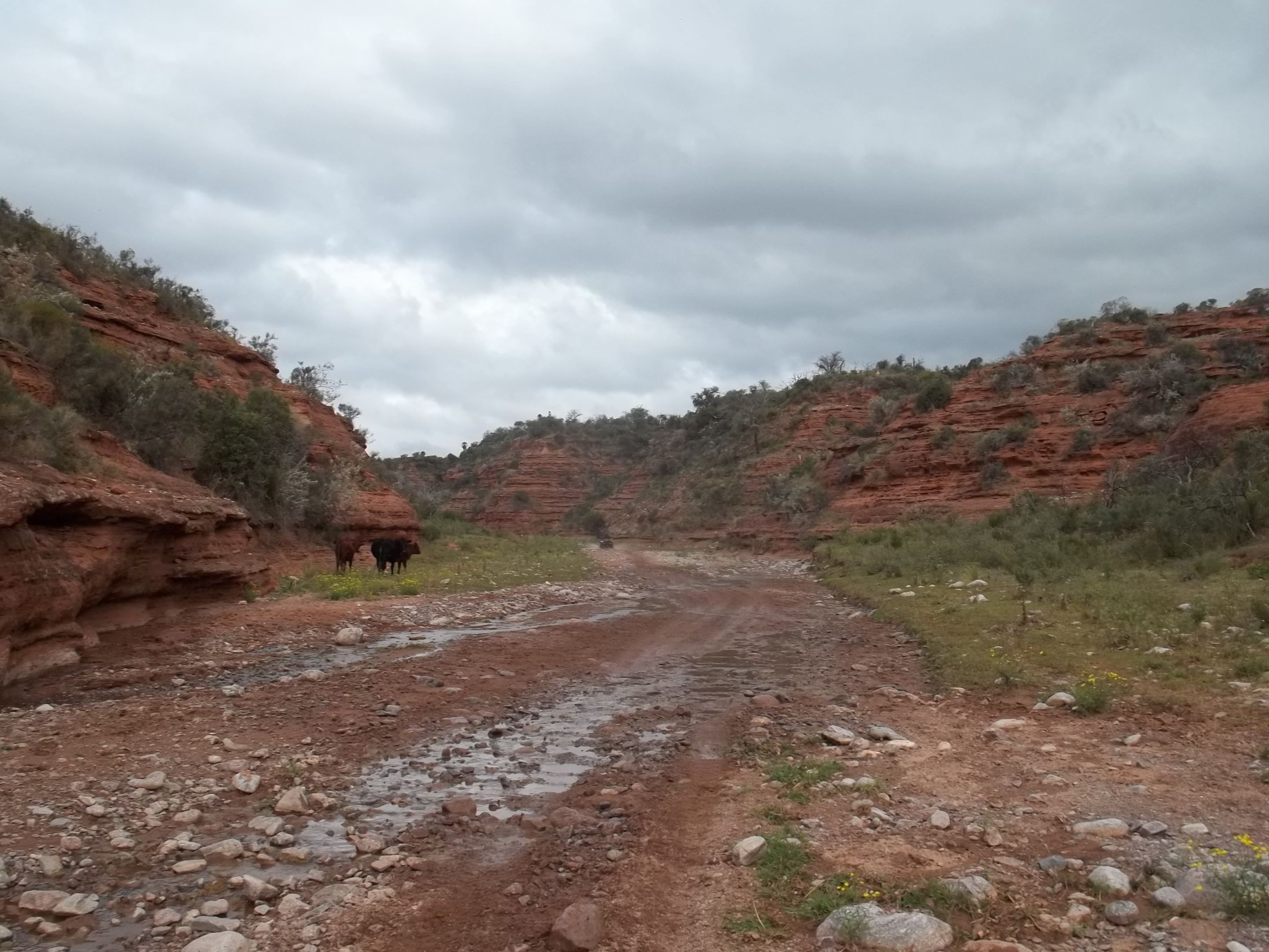 Foto de VALLE DE PUNILLA - CORDOBA - 2013