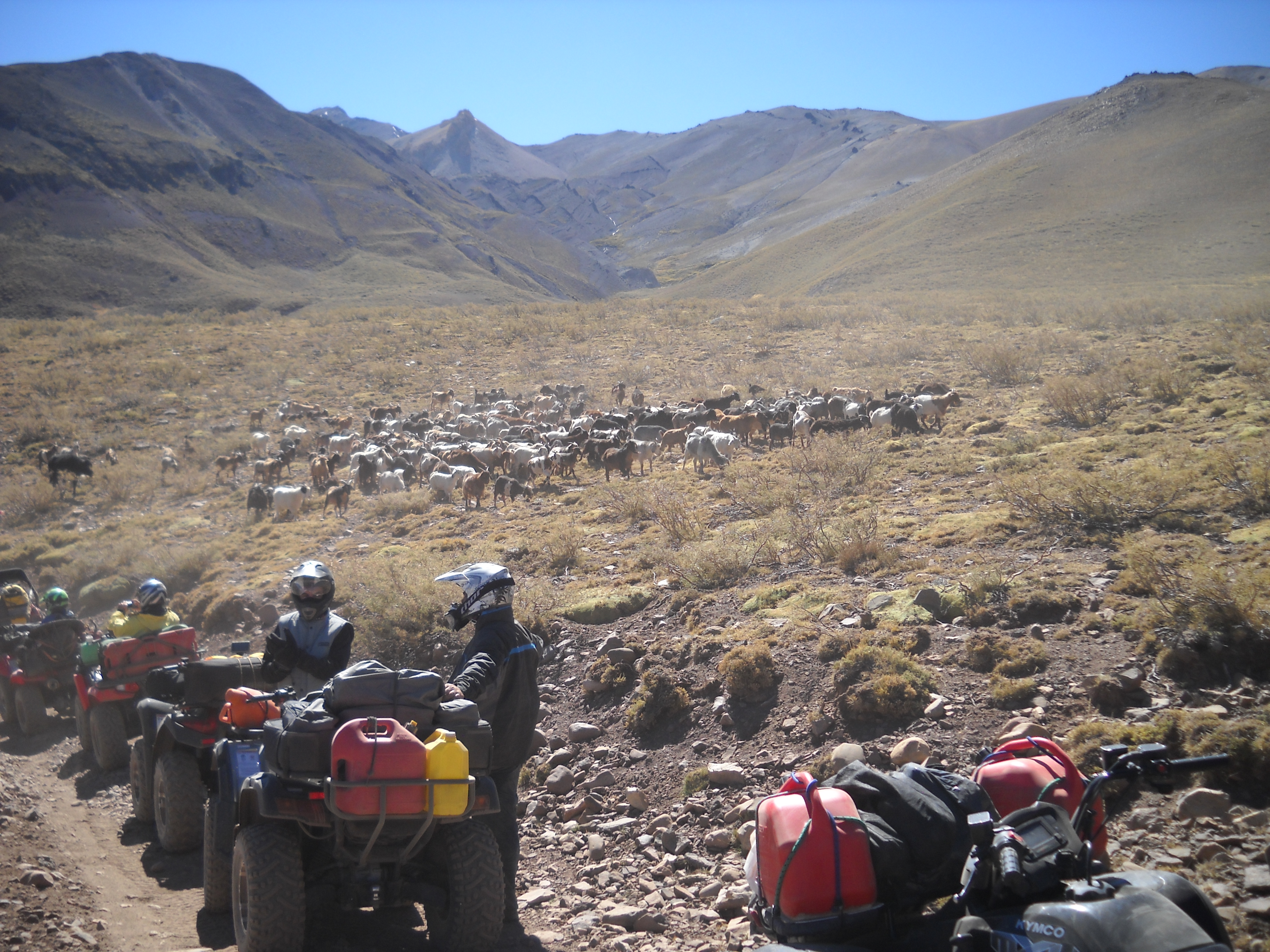 Foto de VALLE HERMOS - 2011 - MENDOZA