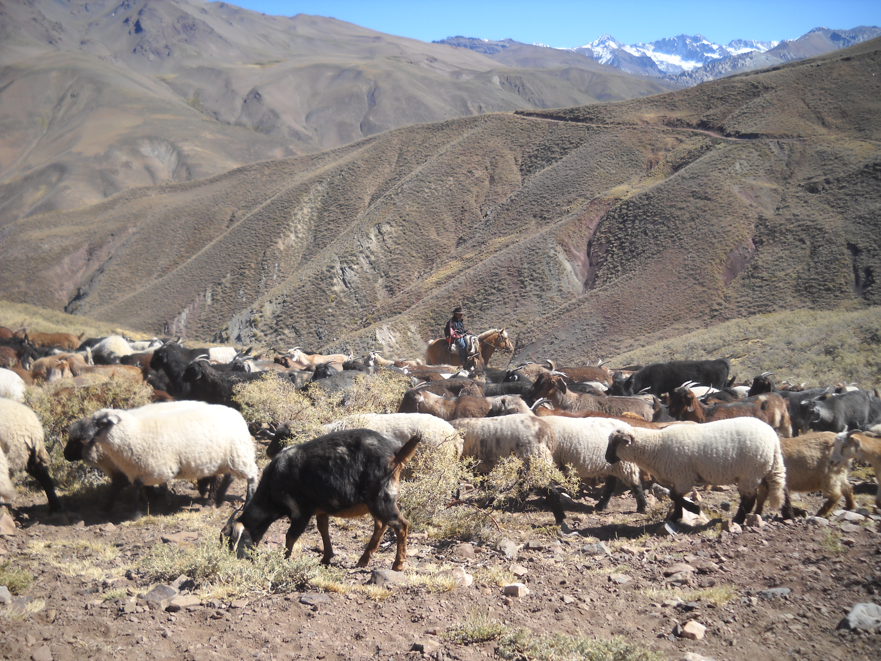 Foto de VALLE HERMOS - 2011 - MENDOZA