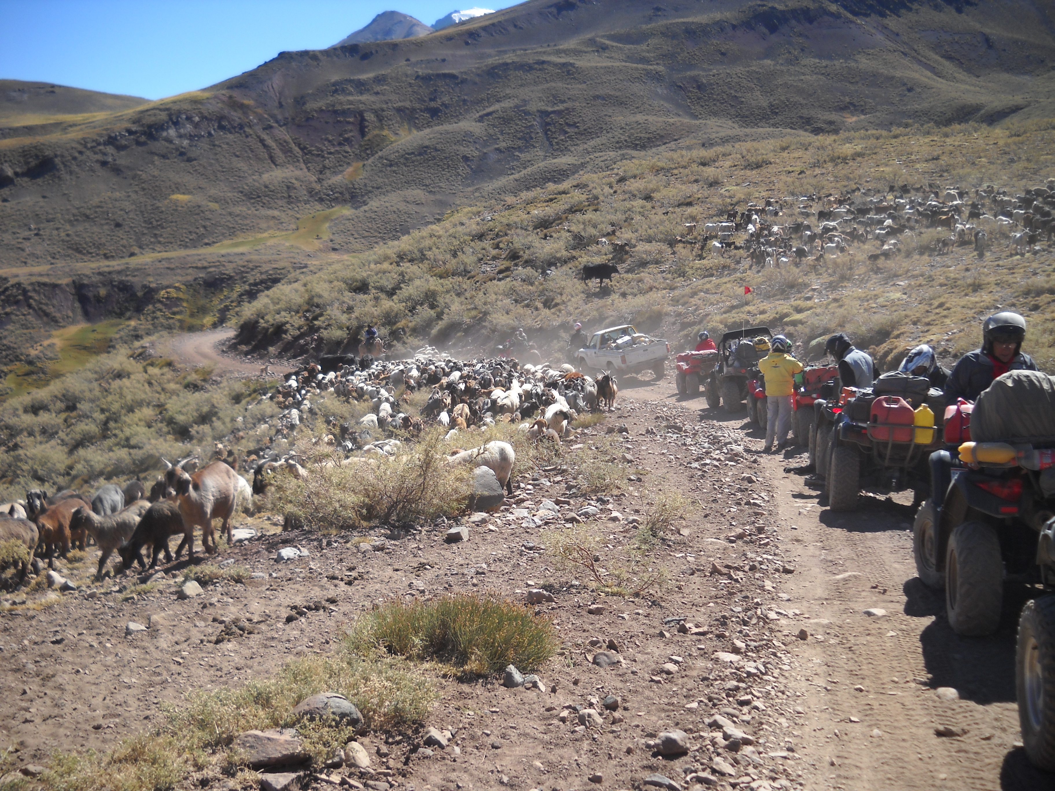 Foto de VALLE HERMOS - 2011 - MENDOZA