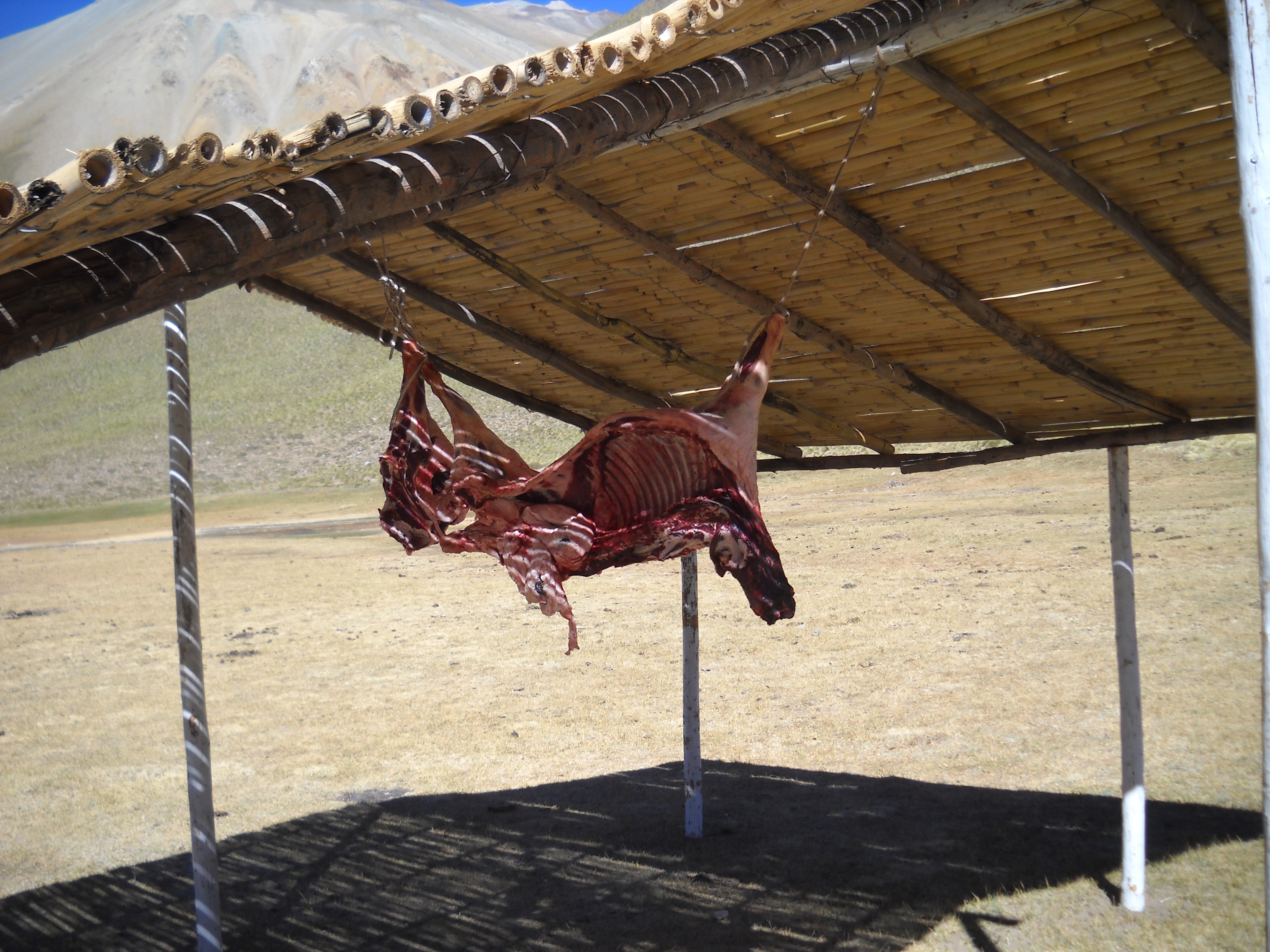 Foto de VALLE HERMOS - 2011 - MENDOZA