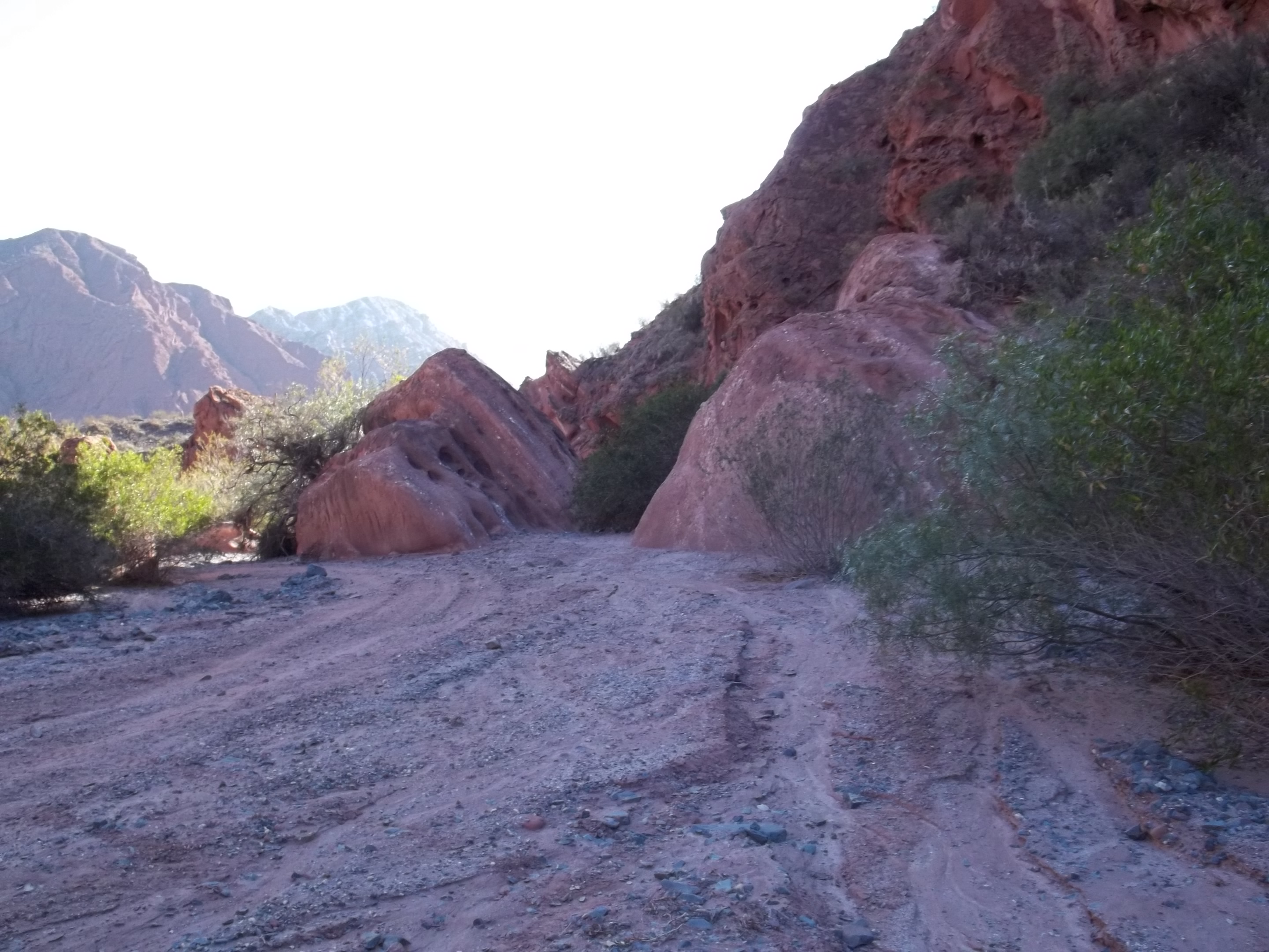 Foto de TUCUMAN-SALTA 2011
